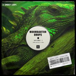 DJ珺宝 - 全英文Fectro抖音热门越南鼓劲爆自嗨旋律幻太空包车载串烧
